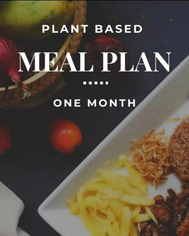 One month Plant Based Meal Plan