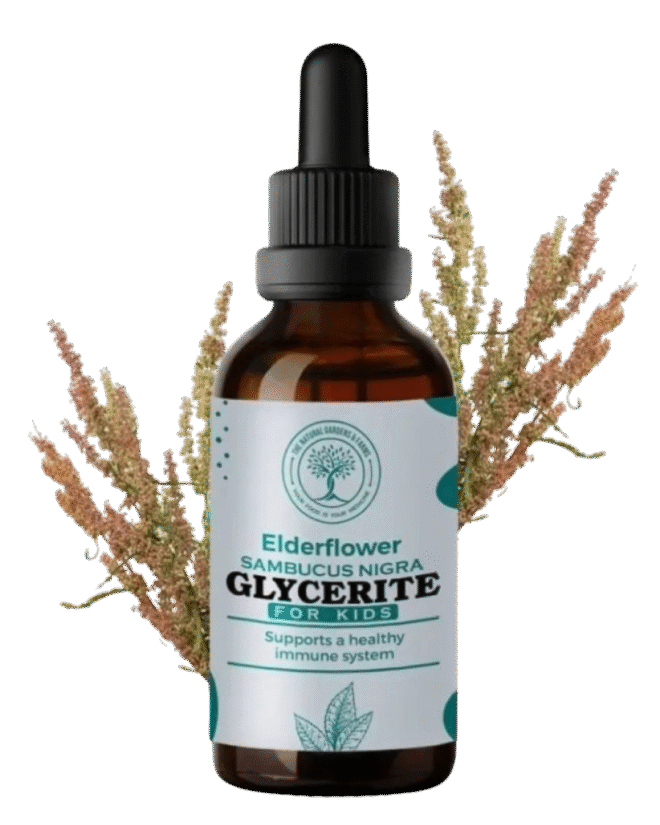 Elderberry Glycerite For Kids